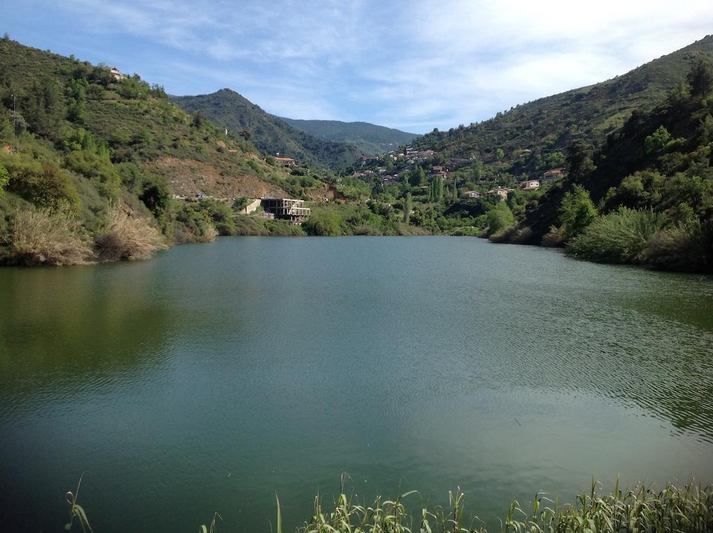 Ta Spitakia Tis Theodosias Apartamento Kalopanagiotis Quarto foto