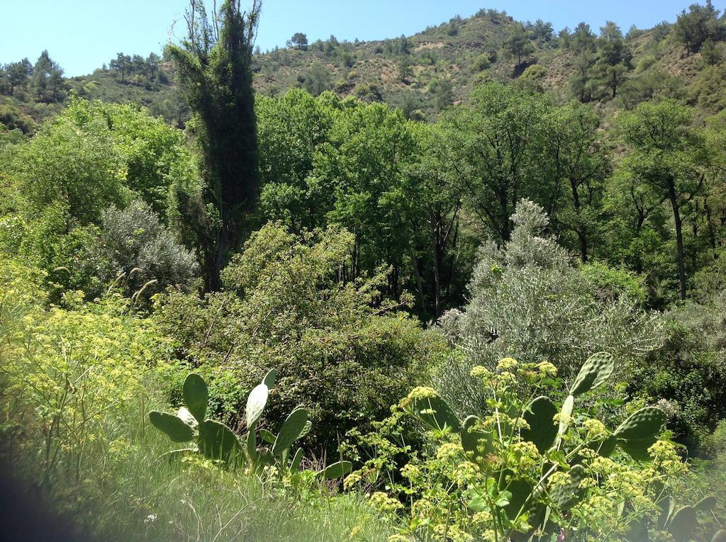 Ta Spitakia Tis Theodosias Apartamento Kalopanagiotis Exterior foto